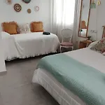 Cuype House - B